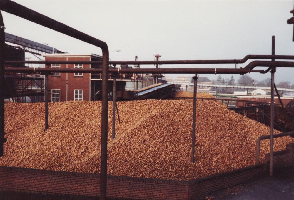 Aardappelbunker