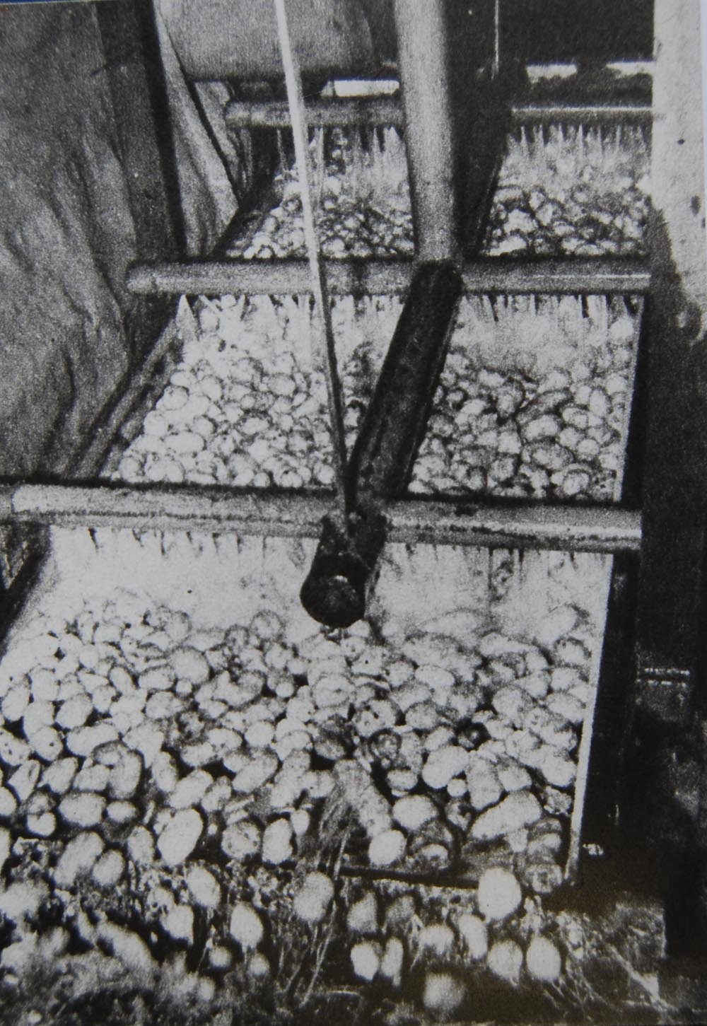Het schoonmaken van de piepers